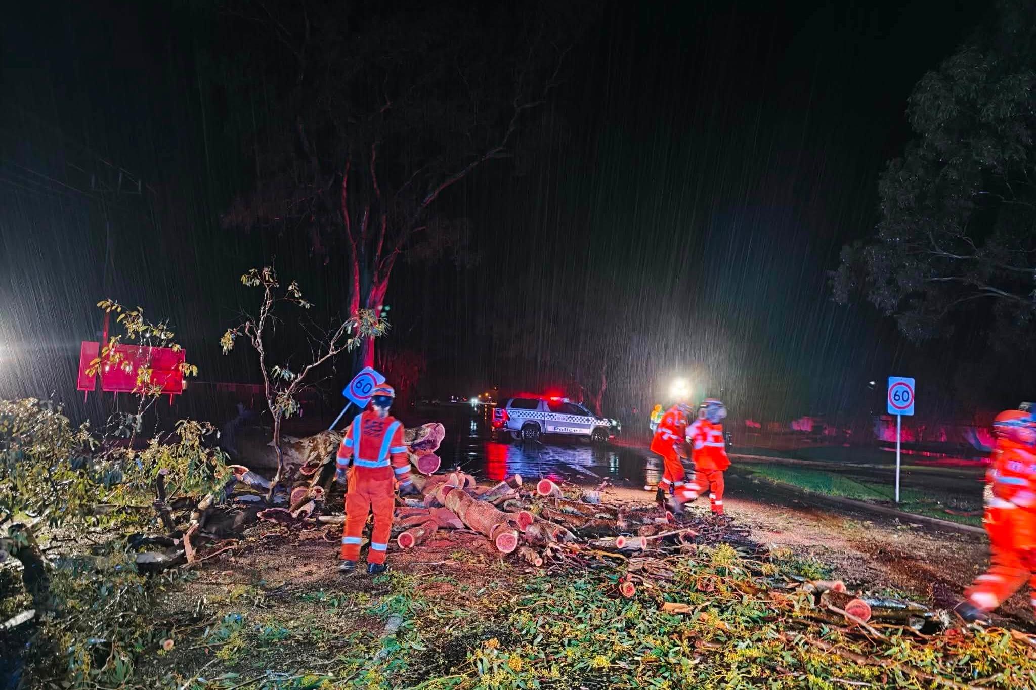 Wangaratta on major flood alert after heavy downpour