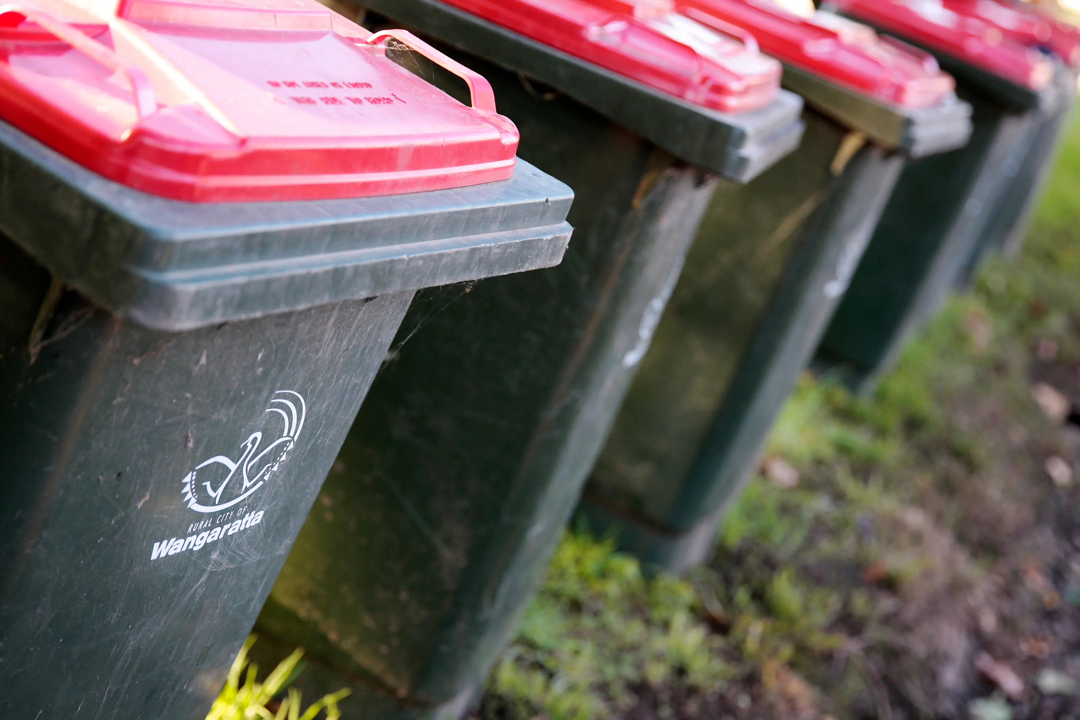 Weekly return for red-lid bin: Coalition