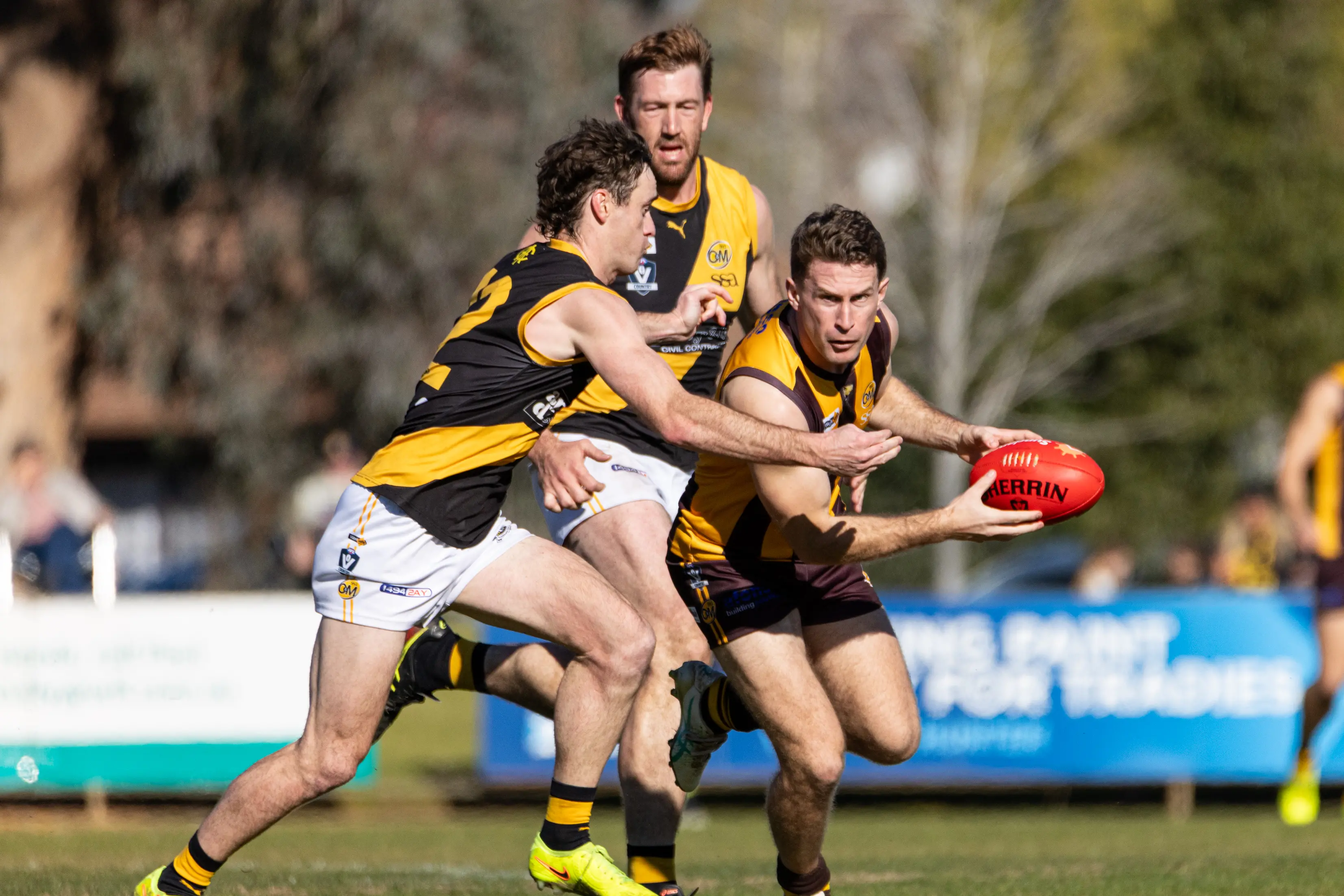 <p>PREPARE FOR FINALS: Mitch Hardie and the Rovers return to WJ Findlay Oval for the first time this weekend since their loss to the Tigers. PHOTO: Marc Bongers</p>\\n