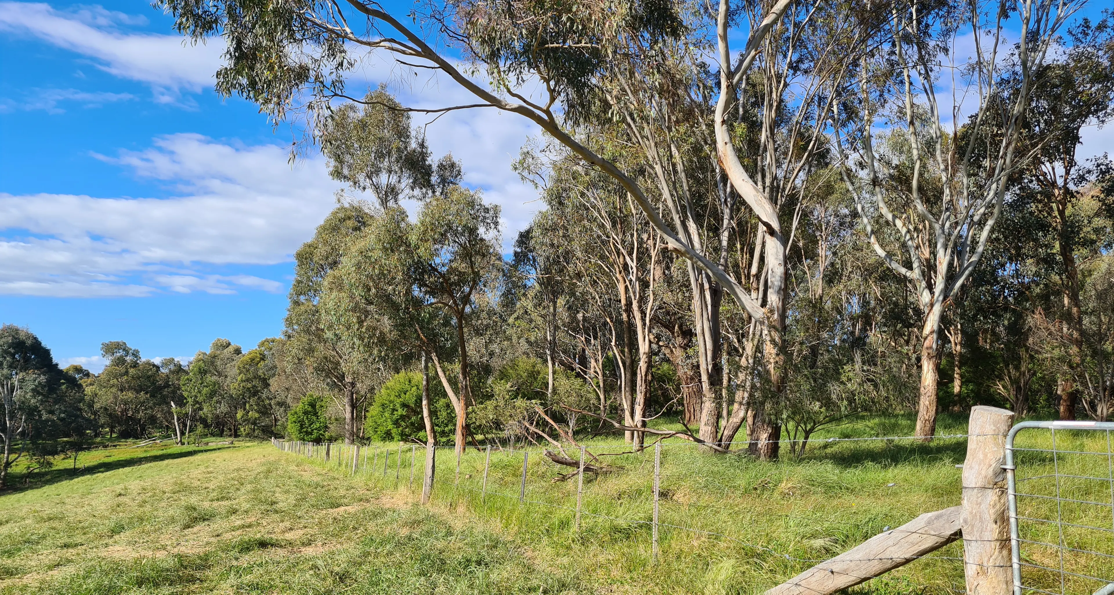 Landcare farm tour explores benefits of shade and shelter