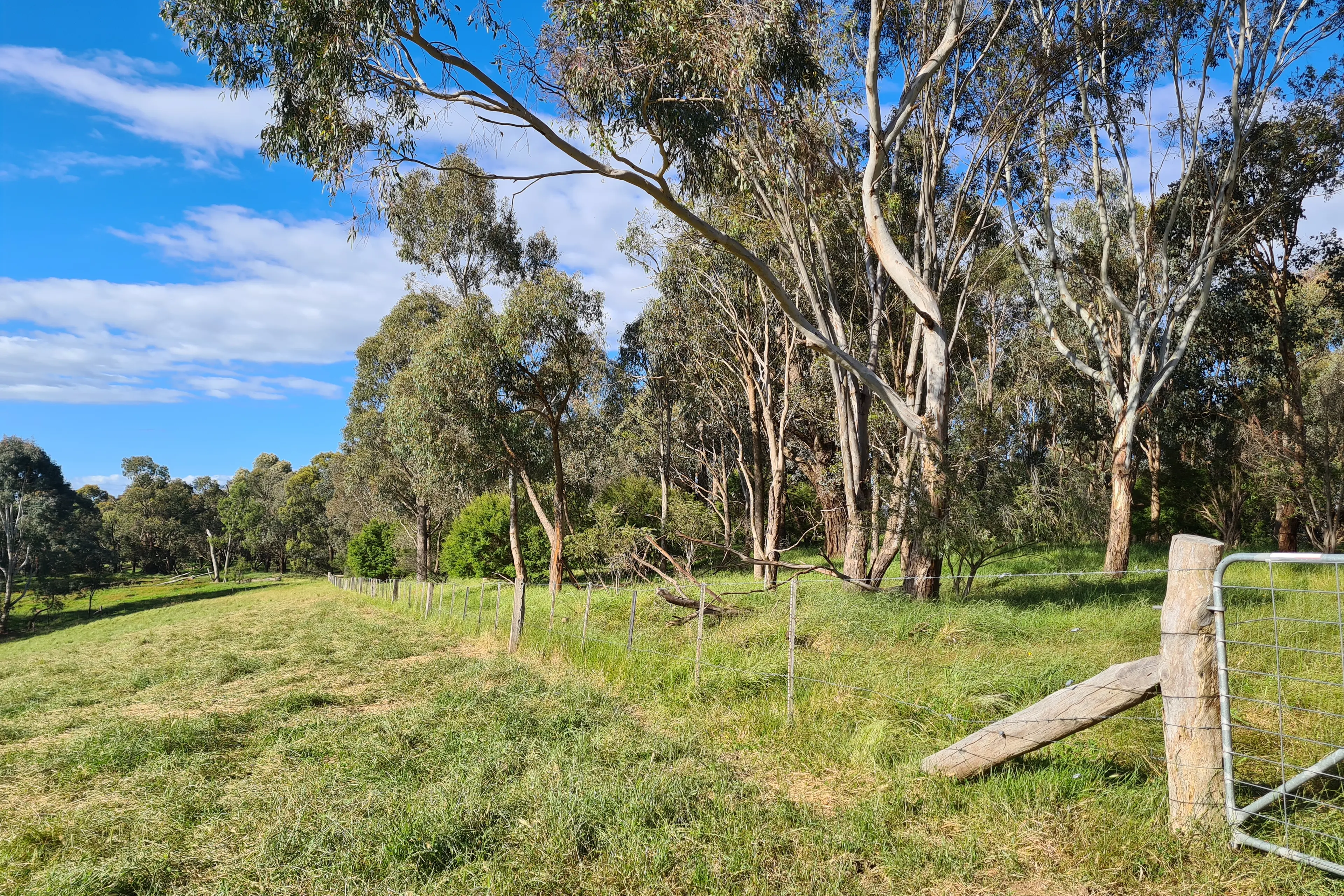 <p>PRESERVING PASTURES: Greta Valley Landcare is hosting a farm tour to showcase various shade and shelter assets.</p>\\n