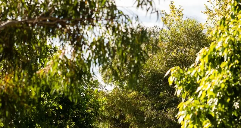 Spring into Sustainability - Wangaratta community invited to get involved in new program
