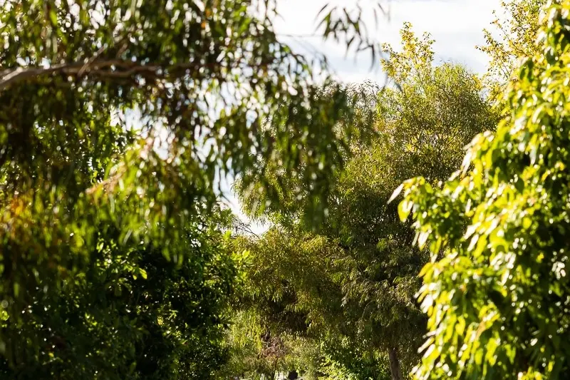 <p>GET INVOLVED: Community members invited to get involved in a new three-month sustainability program designed to inspire practical environmental action across the community.</p>\\n