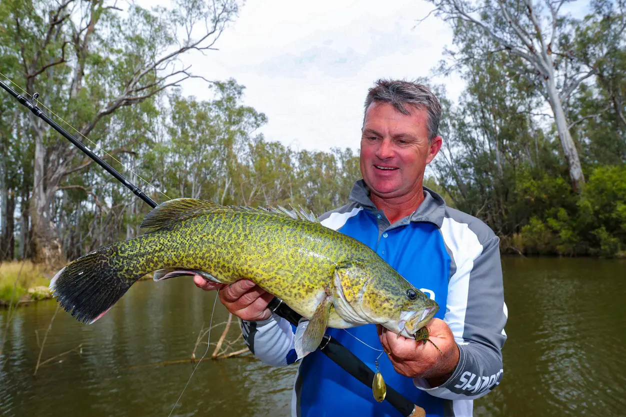 Catch the Murray cod event of the year in Wangaratta