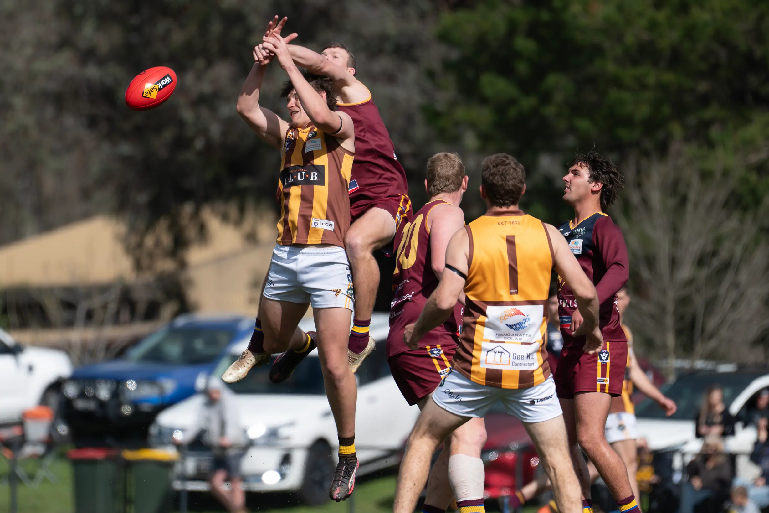 Lions roar into decider