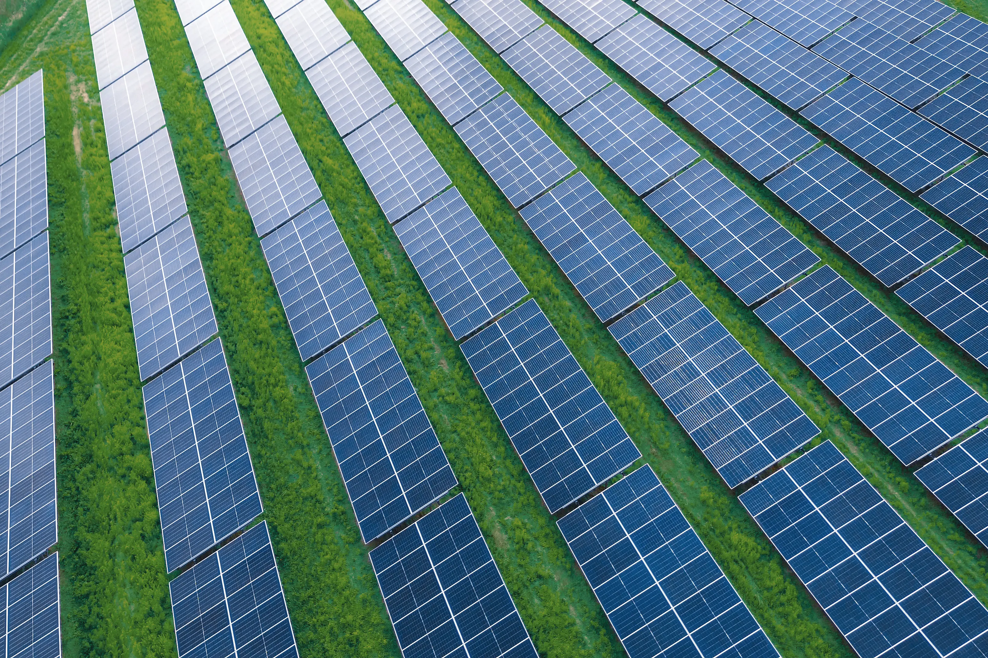 <p>LIGHT OF DAY: Renewable energy projects in the area already in the planning phase will still navigate their process despite the decision not to declare the Central North Renewable Energy Zone. PHOTO: AlexGo/Adobe Stock</p>\\n