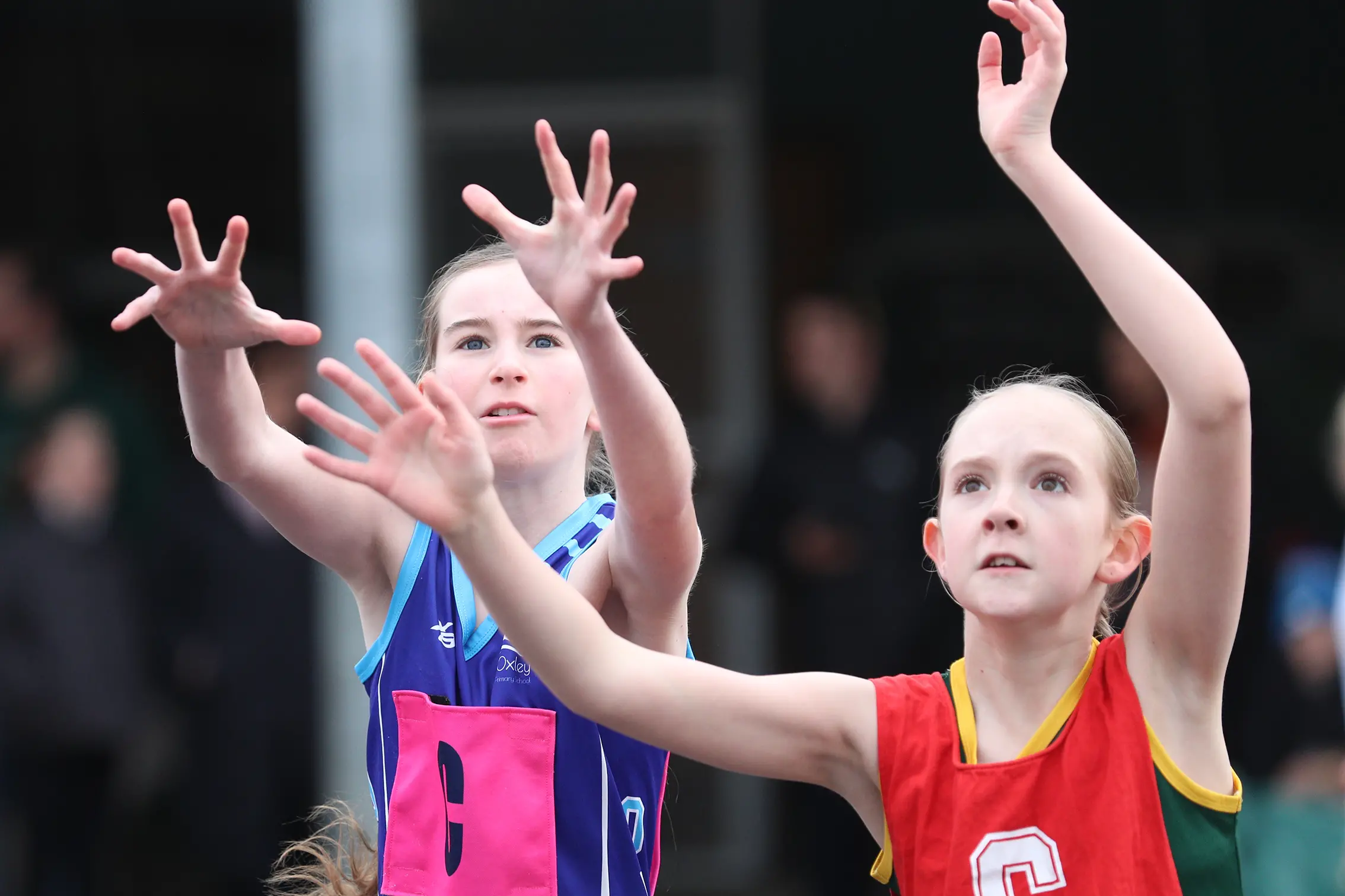 <p>CENTRE FOCUS: It was recommended by council that Premier Building & Construction is awarded the contract to renew Wangaratta Netball Association\\'s amenities. </p>\\n