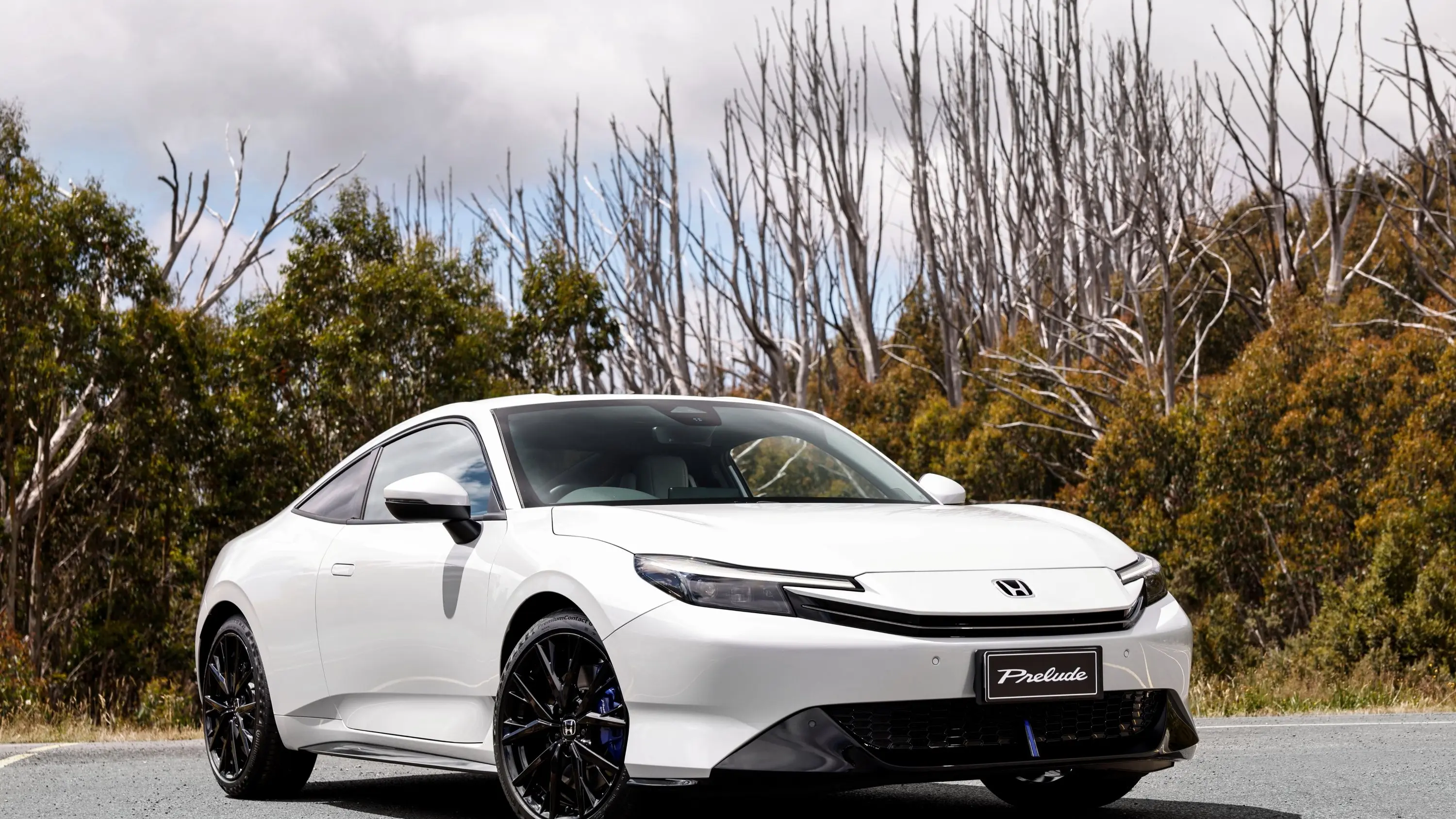 Prelude to a hybrid way of life