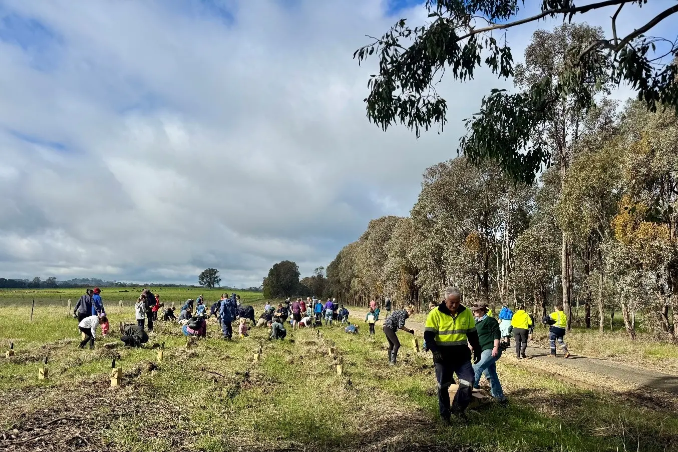 <p>COMMUNITY SUPPORT: Nearly 100 community members planted 1346 indigenous plants across 30 different species on National Tree Planting Community Day in July 2026.</p>\\n