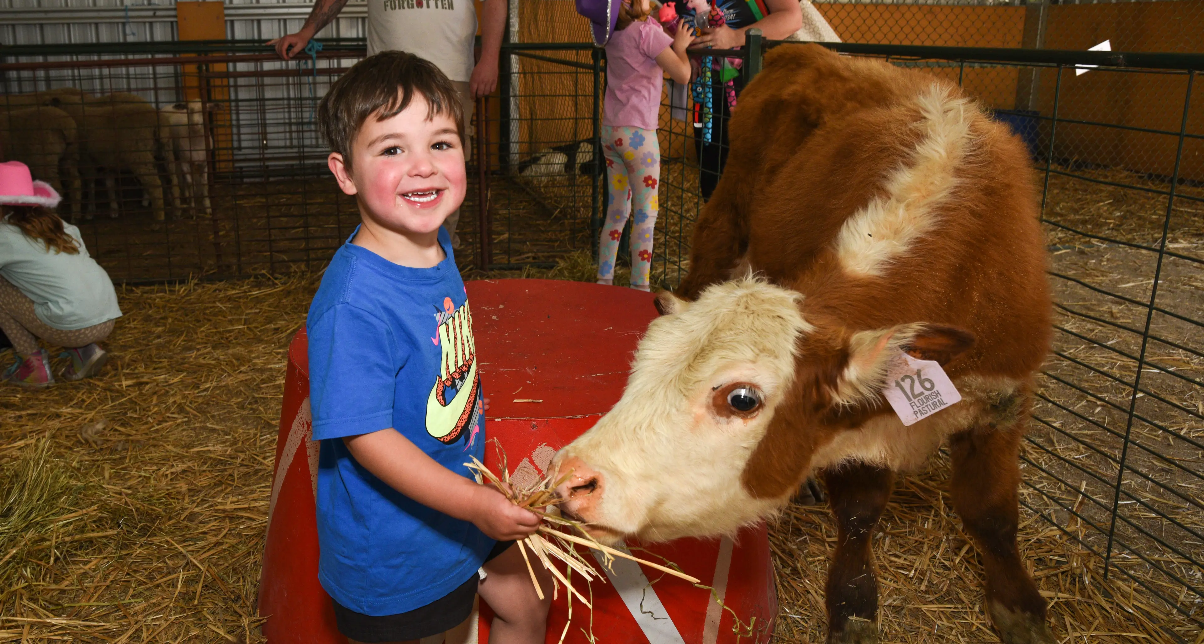 New activities added to popular animal nursery