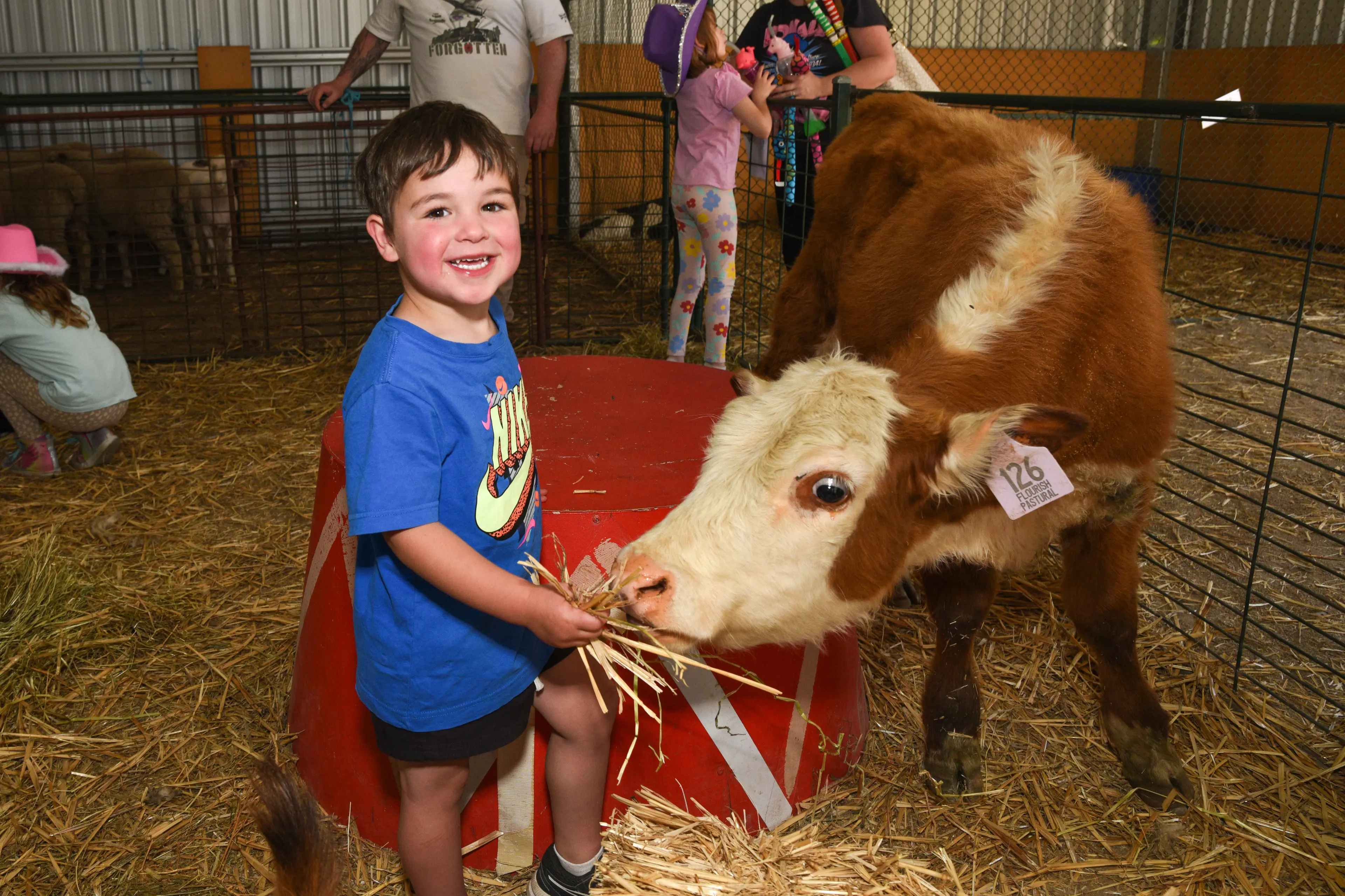 <p>HANDS ON EXPERIENCE: Max Dinsdale (3), pictured in the animal nursery two years ago, has been coming to the show every year following in his mum\\u2019s footsteps who grew up coming to the local show her whole life. </p>\\n