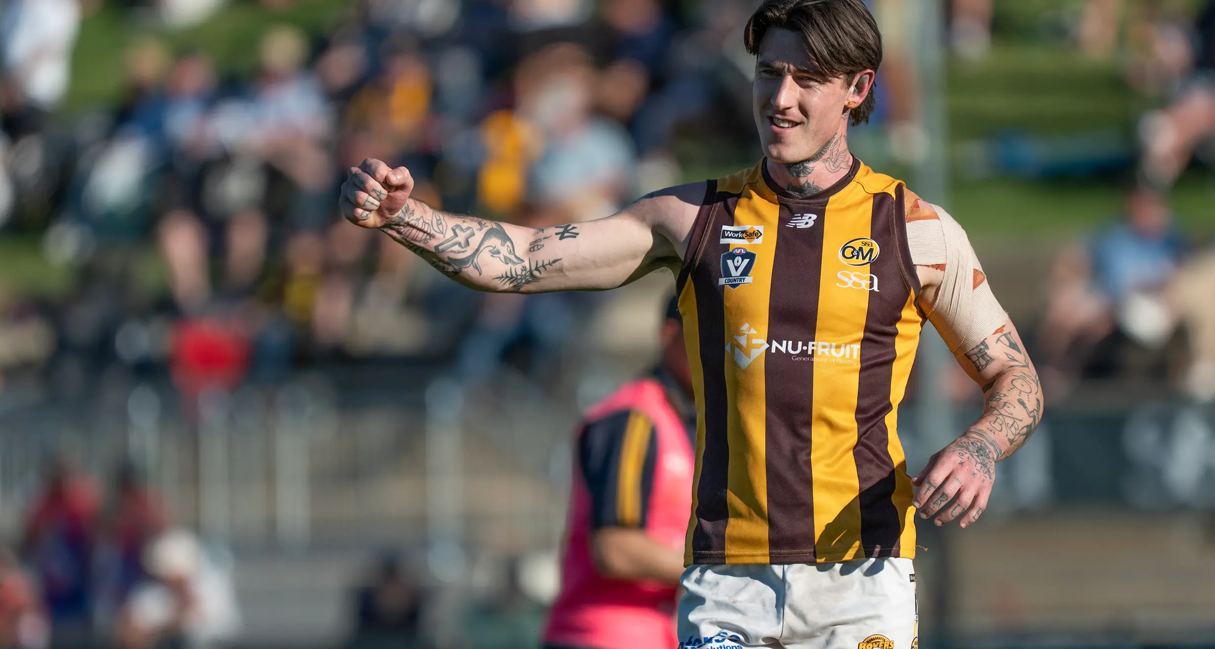 Premiership Rover hops to the green and gold as co-coach
