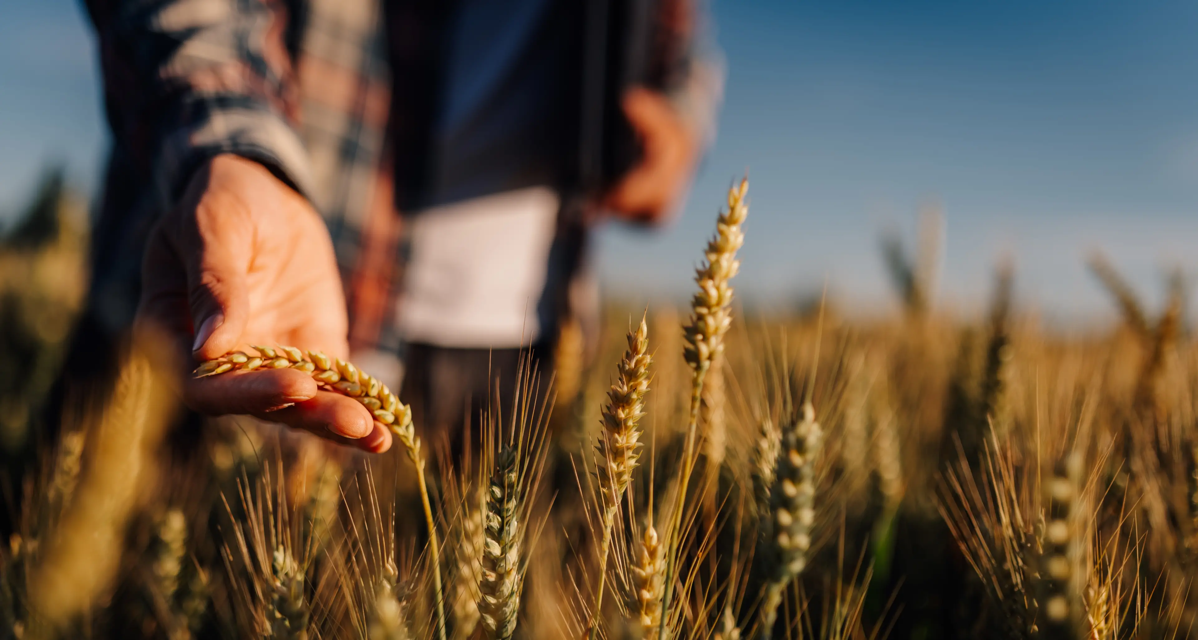 Drought resilience funding for Ovens Murray