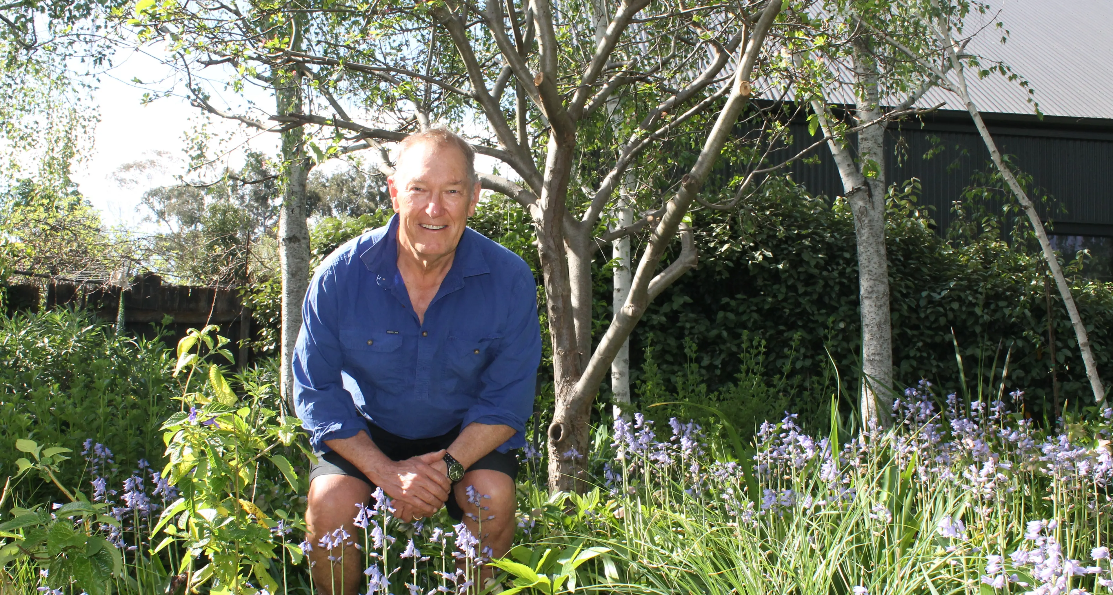 Gates unlock to variety of delightful local gardens for charity