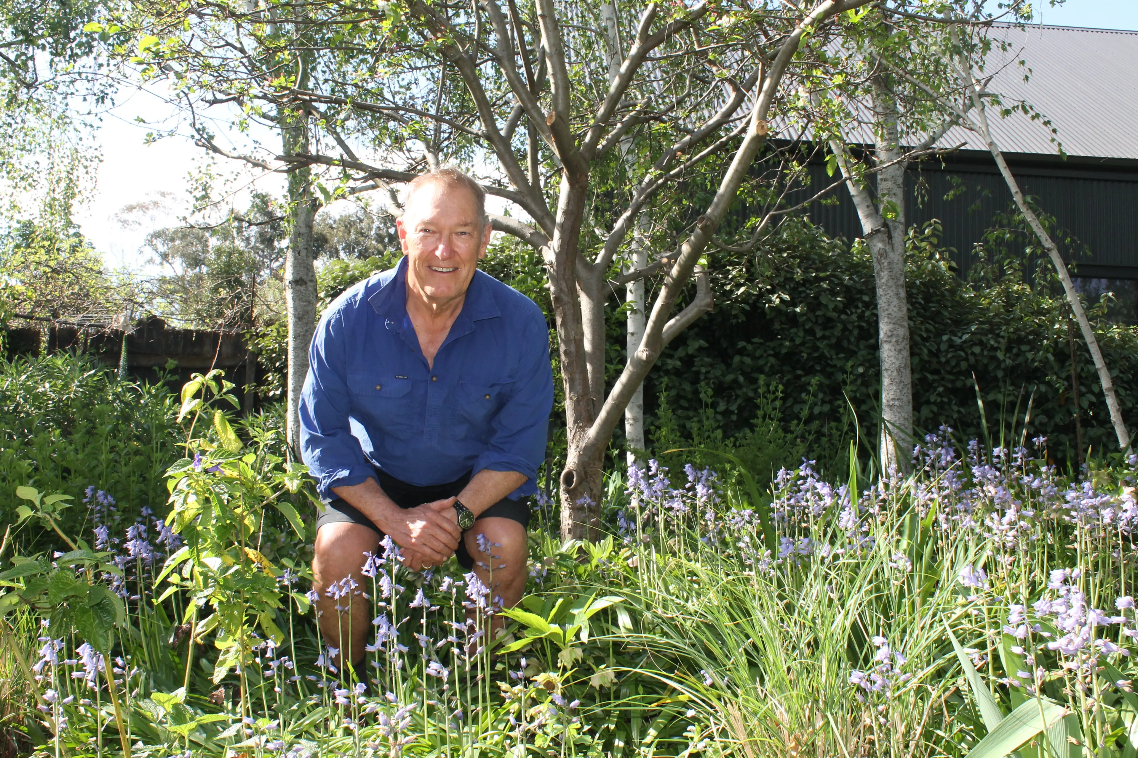 <p>IN FULL BLOOM: Ian Wilson (pictured), pictured in neighbour Ann Shaw\\'s field of bluebells, is among the residents involved in the Dundas Street community garden concept for the Friends of Lacluta Open Gardens event. PHOTO: Grace Fredsberg</p>\\n