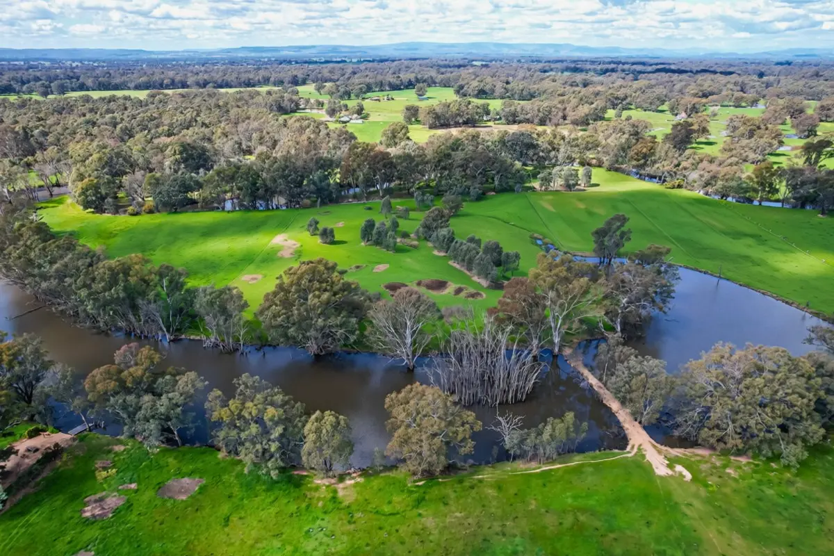 New riverside community takes shape on the King River