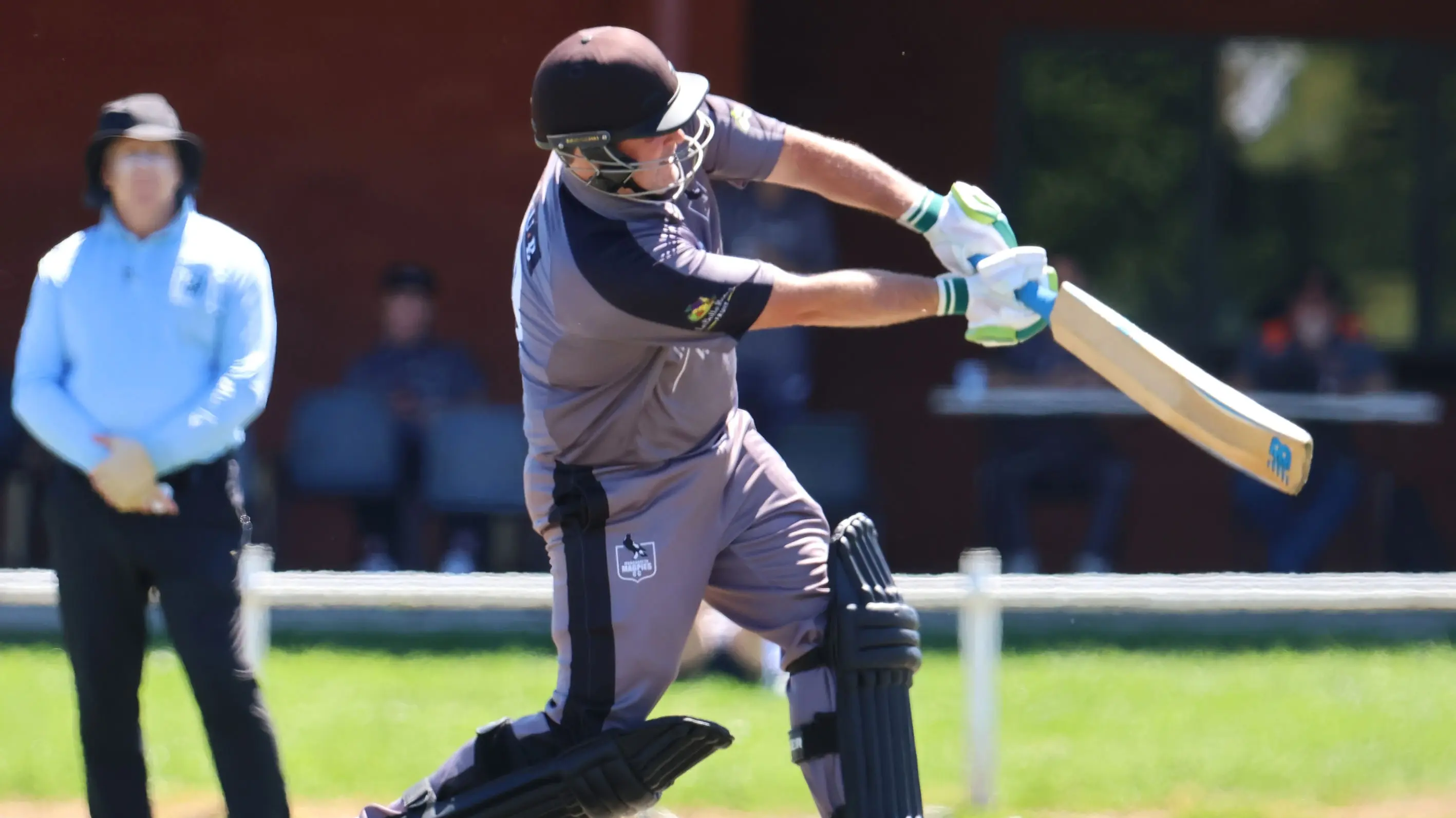 Wounded ‘Pies take Tigers to the final over
