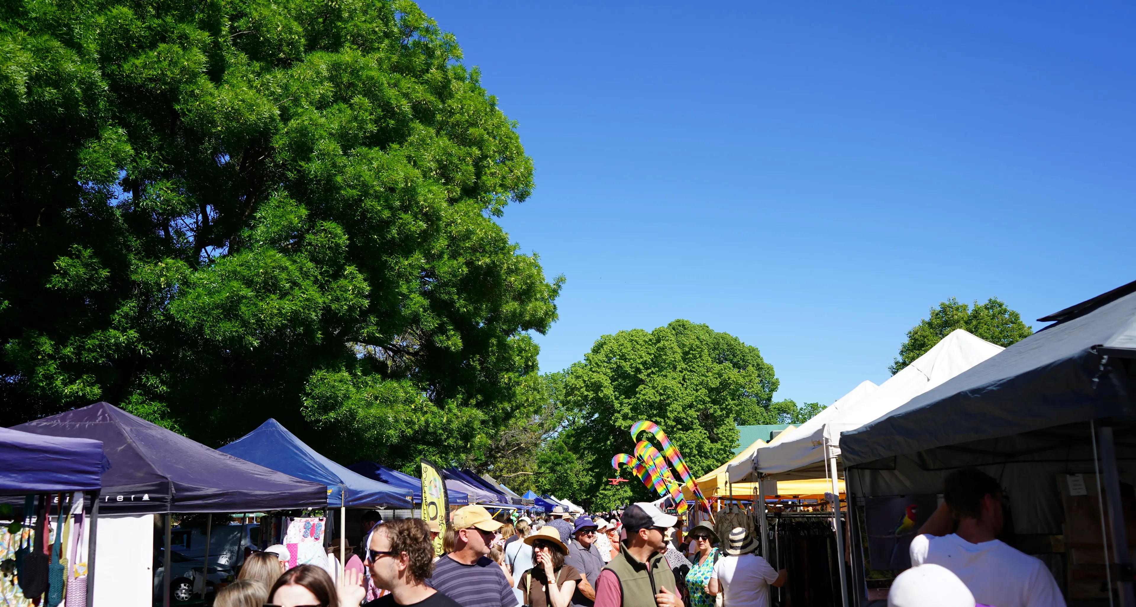 Oxley Bush Market is back for the 45th year with more chances to shop, eat and stay a while