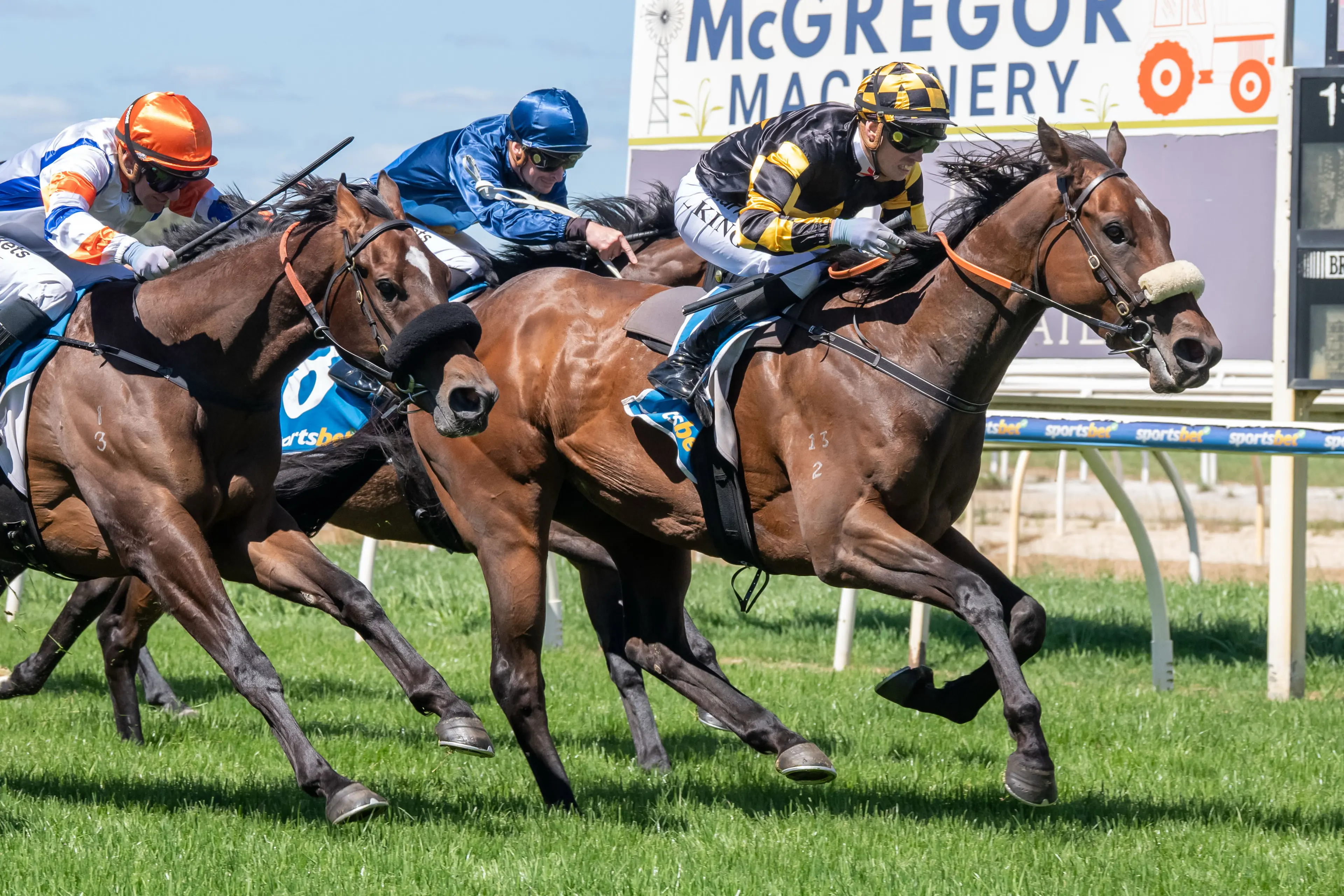 <p>CUP DAY THRILLS: Red Light Rachel was the latest winner at Wangaratta for Ben Brisbourne, with the local trainer hoping for more success at the  Ovens Ford Melbourne Cup Day Races. PHOTO: Racing Photos</p>\\n